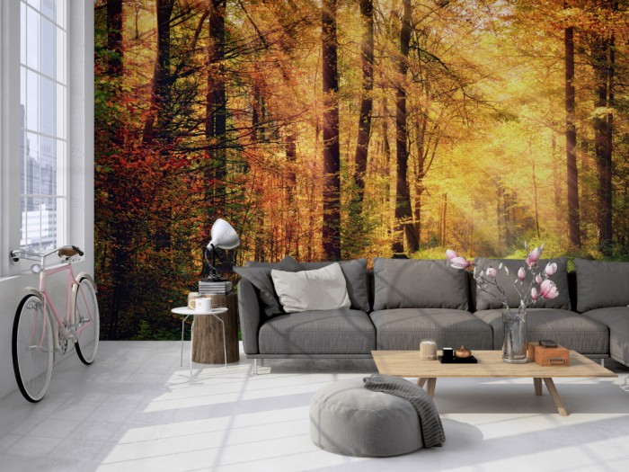 Die Fototapete Waldweg im Herbst auf einer großen Wand im Loft tapeziert. Die Fototapete Waldweg im Herbst wird individuell auf Deine Wand angepasst.