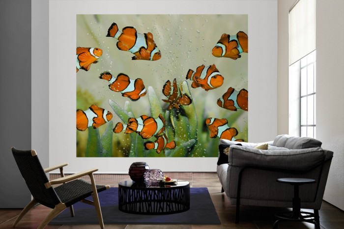 Die Fototapete Fische im Aquarium, Clownfische als große Bildtapete im Wohnzimmer. Als Bildtapete ist die Fototapete Fische im Aquarium, Clownfische ein besonderes Highlight auf Vliestapete.