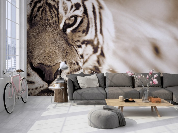 Die Fototapete Tiger im Blick auf einer großen Wand im Loft tapeziert. Die Fototapete Tiger im Blick wird individuell auf Deine Wand angepasst.