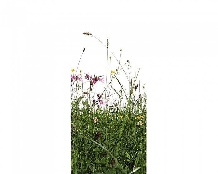 Du möchtest die selbstklebende Türtapete grüne Blumenwiese online bestellen, aber die Maße passen nicht auf Deine Tür? Kontaktiere uns einfach!