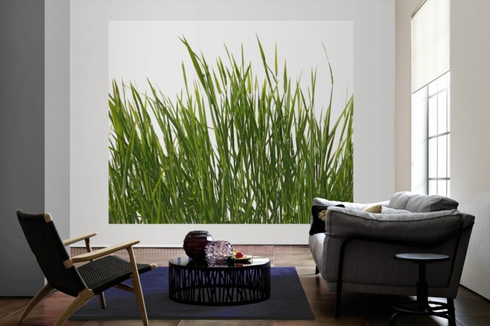 Die Fototapete Gras Detail als große Bildtapete im Wohnzimmer. Als Bildtapete ist die Fototapete Gras Detail ein besonderes Highlight auf Vliestapete.