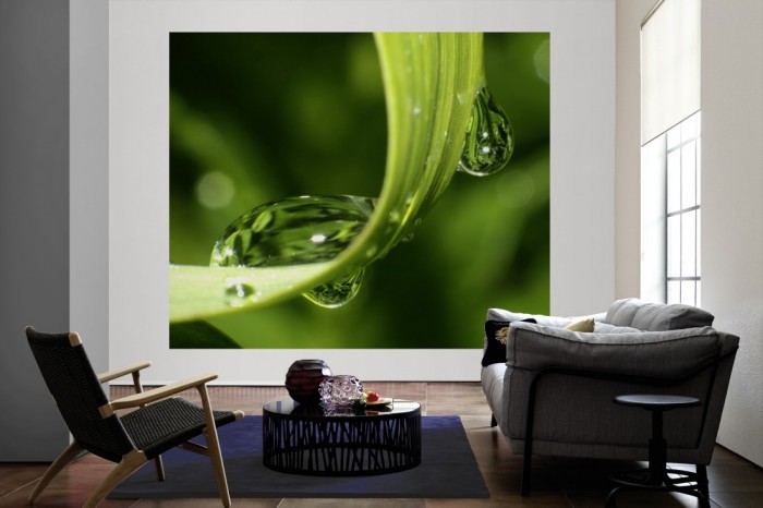 Die Fototapete Wassertropfen auf Grashalm als große Bildtapete im Wohnzimmer. Als Bildtapete ist die Fototapete Wassertropfen auf Grashalm ein besonderes Highlight auf Vliestapete.