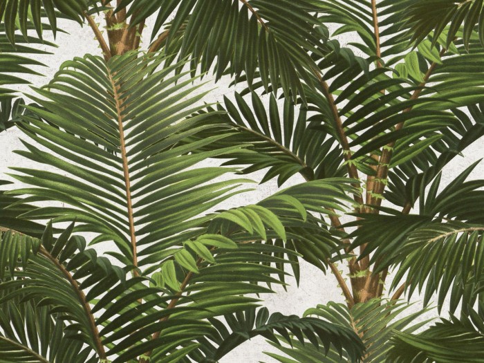Detailansicht der Selected Walls Tapete Malaga Palms Wallpaper Col. 01