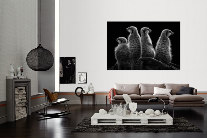 Die Fototapete Erdmännchen, schwarz-weiß als Wandbild im Wohnzimmer. Die Vlies-Fototapete Erdmännchen, schwarz-weiß verschönert als Wandbild Deine Wand.