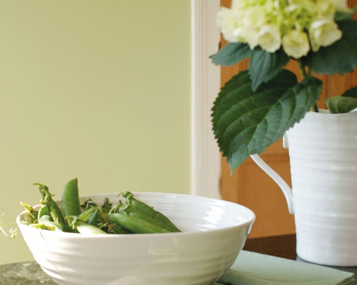 Die Little Greene Farbe Eau de Nil im Wohnbereich gestrichen