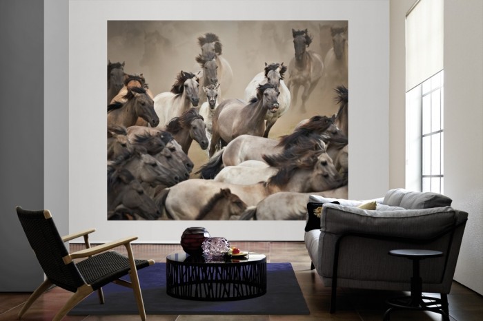 Die Fototapete Pferde Herde im Galopp als große Bildtapete im Wohnzimmer. Als Bildtapete ist die Fototapete Pferde Herde im Galopp ein besonderes Highlight auf Vliestapete.