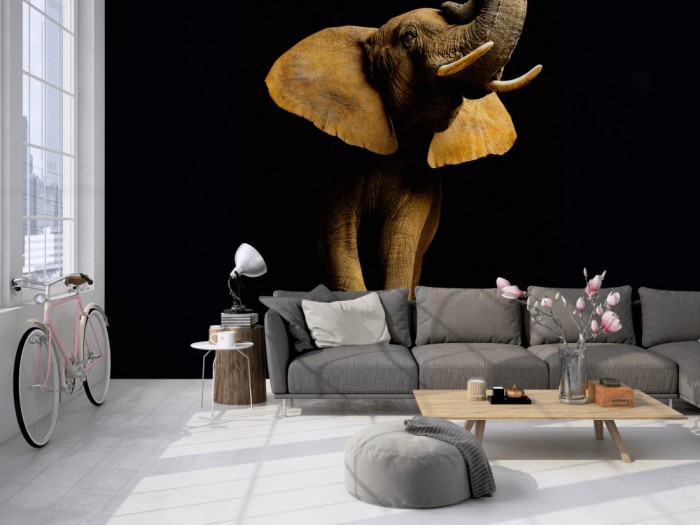 Die Fototapete Elefant von vorne, Fotografie by Mark Laita auf einer großen Wand im Loft tapeziert. Die Fototapete Elefant von vorne, Fotografie by Mark Laita wird individuell auf Deine Wand angepasst.