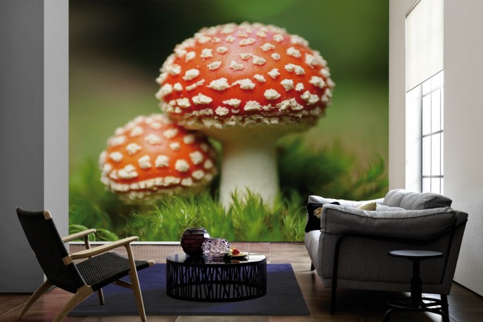 Im Wohnzimmer die Fototapete Fliegenpilz Paar auf einer großen Wand tapeziert. Die Fototapete Fliegenpilz Paar ist als Vlies-Fototapete im Wohnzimmer leicht zu tapezieren.