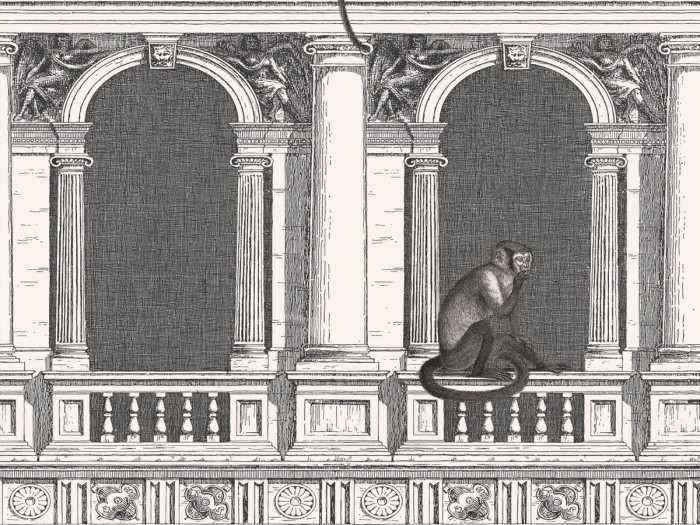 Ansicht der Fornasetti Tapete 114/21041 Procuratie e Scimmie von Cole and Son