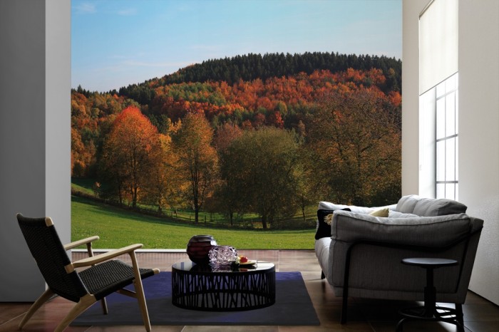 Im Wohnzimmer die Fototapete Herbstwald im Bergischen Land auf einer großen Wand tapeziert. Die Fototapete Herbstwald im Bergischen Land ist als Vlies-Fototapete im Wohnzimmer leicht zu tapezieren.