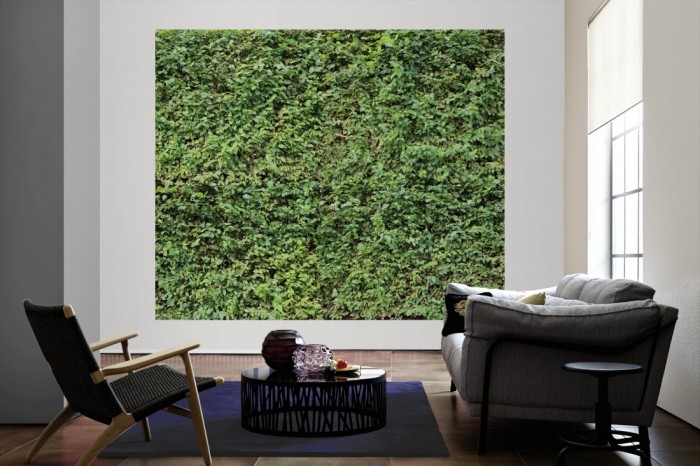 Die Fototapete Gartenhecke mit Blättern als große Bildtapete im Wohnzimmer. Als Bildtapete ist die Fototapete Gartenhecke mit Blättern ein besonderes Highlight auf Vliestapete.