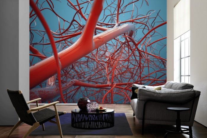 Im Wohnzimmer die Fototapete Blutbahn, der menschliche Körper auf einer großen Wand tapeziert. Die Fototapete Blutbahn, der menschliche Körper ist als Vlies-Fototapete im Wohnzimmer leicht zu tapezieren.