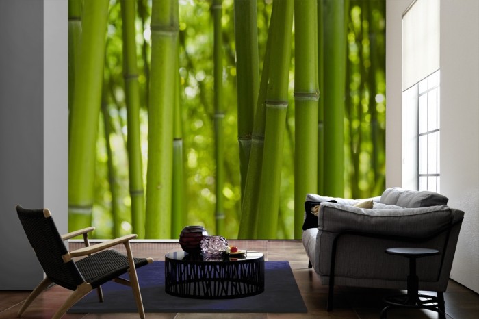 Im Wohnzimmer die Fototapete Bambus Wald im Sonnenschein auf einer großen Wand tapeziert. Die Fototapete Bambus Wald im Sonnenschein ist als Vlies-Fototapete im Wohnzimmer leicht zu tapezieren.