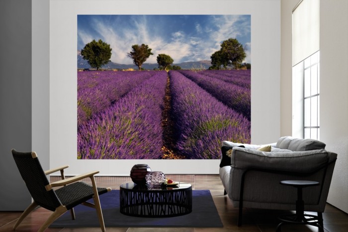 Die Fototapete Lavendel Feld der Provence, Frankreich als große Bildtapete im Wohnzimmer. Als Bildtapete ist die Fototapete Lavendel Feld der Provence, Frankreich ein besonderes Highlight auf Vliestapete.
