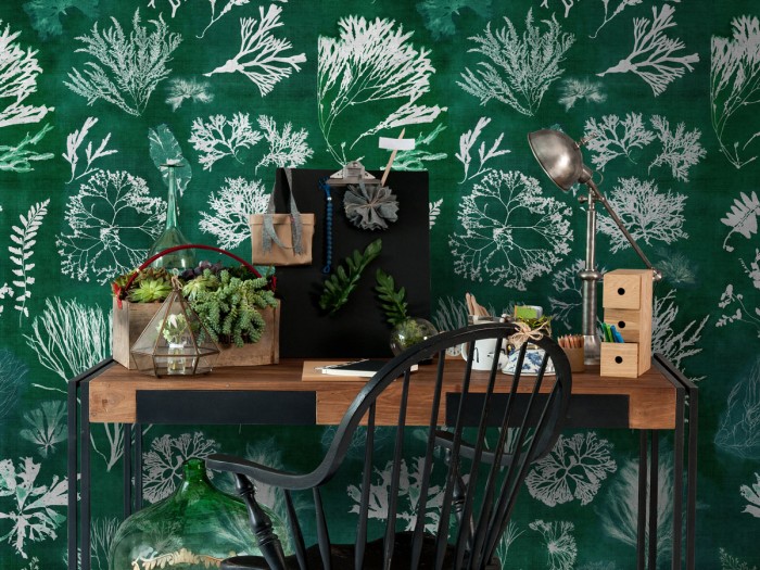 Raumansicht der Selected Walls Tapete Freeport Seaweed Wallpaper Col. 02
