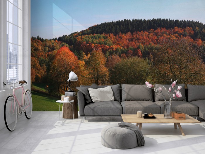 Die Fototapete Herbstwald im Bergischen Land auf einer großen Wand im Loft tapeziert. Die Fototapete Herbstwald im Bergischen Land wird individuell auf Deine Wand angepasst.
