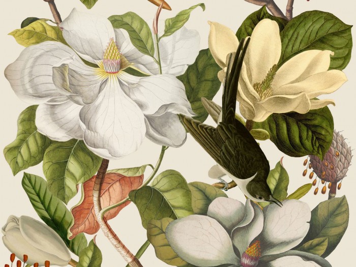 Detailansicht der Selected Walls Tapete Lafayette Magnolia Wallpaper Col. 01