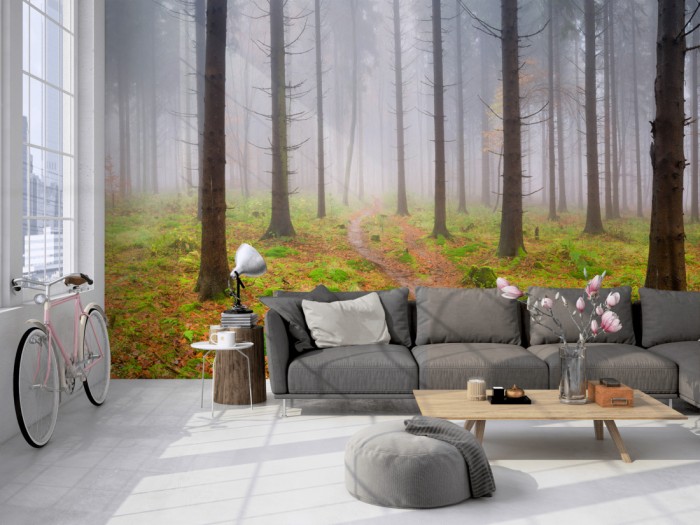 Die Fototapete Herbstwald im Nebel auf einer großen Wand im Loft tapeziert. Die Fototapete Herbstwald im Nebel wird individuell auf Deine Wand angepasst.