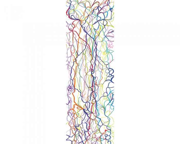 Du möchtest das 3D-Design-Fotopanel Bunte Linien, Artwork online bestellen, aber du benötigst andere Abmessungen? Kontaktiere uns einfach!