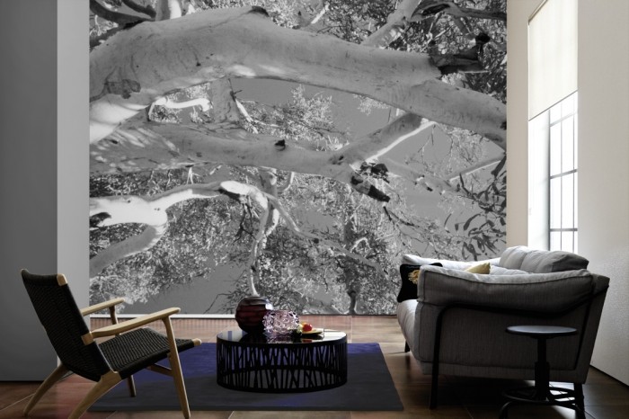 Im Wohnzimmer die Fototapete Baumkrone, schwarz-weiß auf einer großen Wand tapeziert. Die Fototapete Baumkrone, schwarz-weiß ist als Vlies-Fototapete im Wohnzimmer leicht zu tapezieren.
