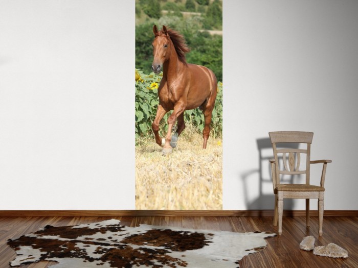 Ein Foto von dem 3D Fotopanel Pferd auf der Weide tapeziert an der Wand. Bestelle Deine Bildtapete online.