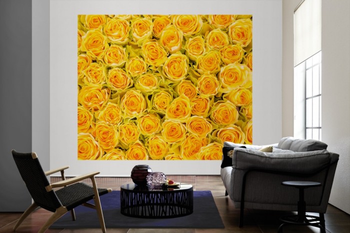 Die Fototapete Rosen in gelb, Blütenmeer als große Bildtapete im Wohnzimmer. Als Bildtapete ist die Fototapete Rosen in gelb, Blütenmeer ein besonderes Highlight auf Vliestapete.