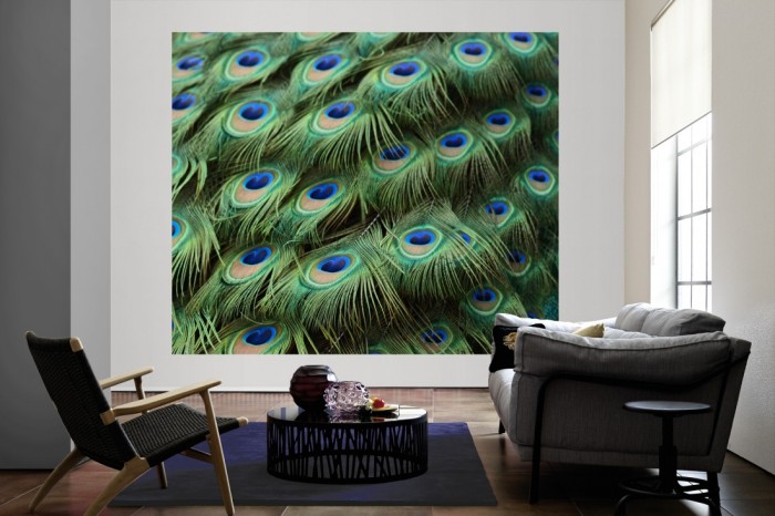 Die Design-Fototapete Federn vom Pfau, Pfauenfedern als große Bildtapete im Wohnzimmer. Als Bildtapete ist die Design-Fototapete Federn vom Pfau, Pfauenfedern ein besonderes Highlight auf Vliestapete.