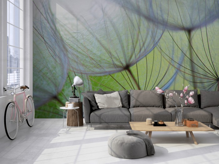 Die Fototapete Löwenzahn, Pusteblume Detail auf einer großen Wand im Loft tapeziert. Die Fototapete Löwenzahn, Pusteblume Detail wird individuell auf Deine Wand angepasst.