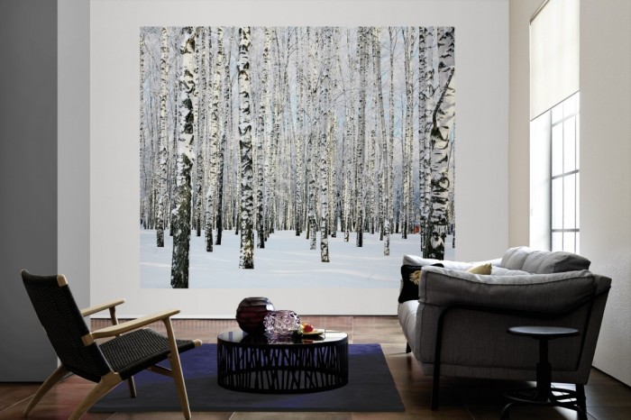 Die Fototapete Birkenwald im Schnee als große Bildtapete im Wohnzimmer. Als Bildtapete ist die Fototapete Birkenwald im Schnee ein besonderes Highlight auf Vliestapete.