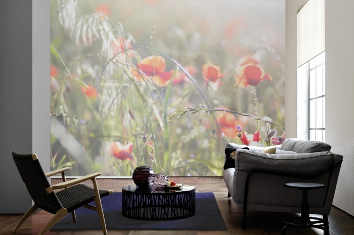 Im Wohnzimmer die Fototapete Mohn Blumen im Sonnenlicht auf einer großen Wand tapeziert. Die Fototapete Mohn Blumen im Sonnenlicht ist als Vlies-Fototapete im Wohnzimmer leicht zu tapezieren.