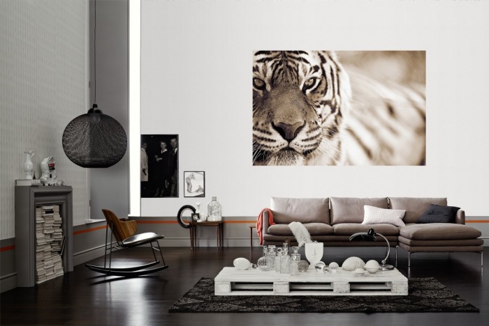 Die Fototapete Tiger im Blick als Wandbild im Wohnzimmer. Die Vlies-Fototapete Tiger im Blick verschönert als Wandbild Deine Wand.