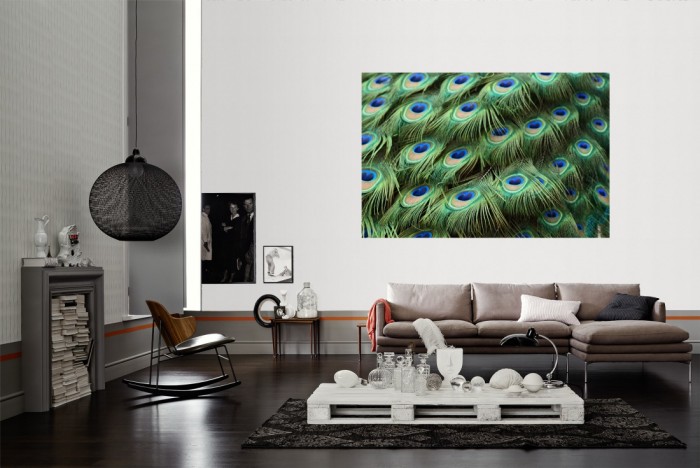 Die Design-Fototapete Federn vom Pfau, Pfauenfedern als Wandbild im Wohnzimmer. Die Vlies-Design-Fototapete Federn vom Pfau, Pfauenfedern verschönert als Wandbild Deine Wand.