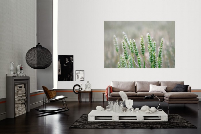 Die Fototapete Weizen im Detail als Wandbild im Wohnzimmer. Die Vlies-Fototapete Weizen im Detail verschönert als Wandbild Deine Wand.