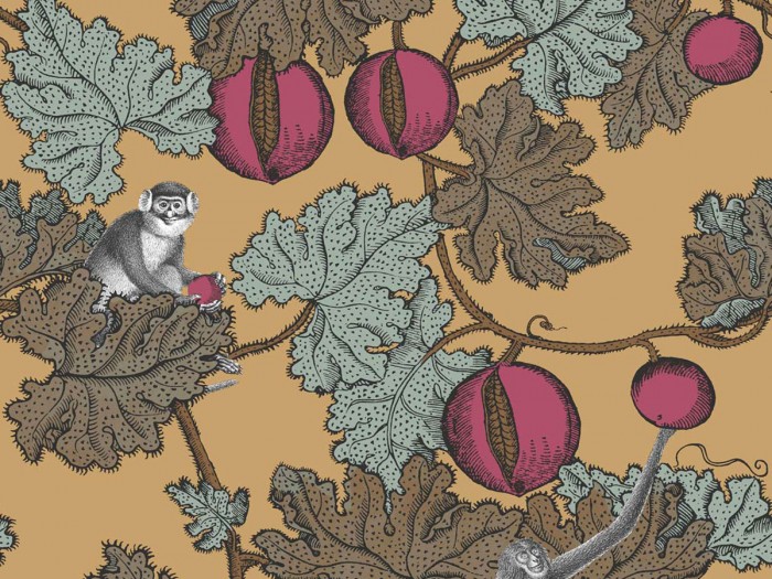 Ansicht der Fornasetti Tapete 114/25049 Frutto Proibito von Cole and Son
