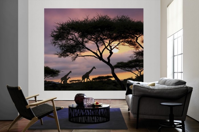 Die Fototapete Giraffen im Sonnenaufgang, Afrika als große Bildtapete im Wohnzimmer. Als Bildtapete ist die Fototapete Giraffen im Sonnenaufgang, Afrika ein besonderes Highlight auf Vliestapete.
