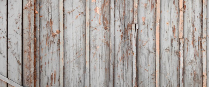 Die Fototapete Holz Wand, grauer Anstrich, eine Vlies-Fototapete bei Livingwalls Cologne online kaufen. Die Fototapete Holz Wand, grauer Anstrich ist eine Fototapete auf Maß.