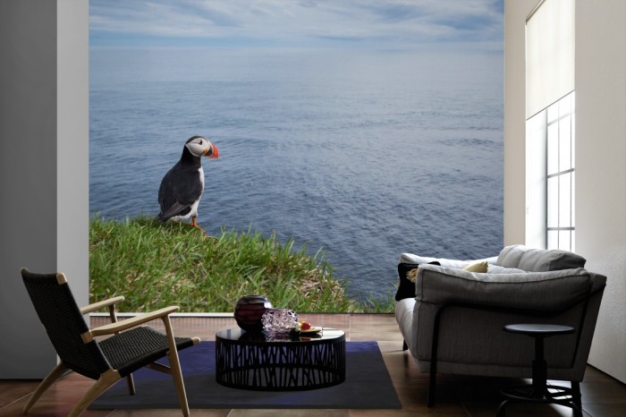Im Wohnzimmer die Fototapete Vogel in Island, Papageitaucher auf einer großen Wand tapeziert. Die Fototapete Vogel in Island, Papageitaucher ist als Vlies-Fototapete im Wohnzimmer leicht zu tapezieren.