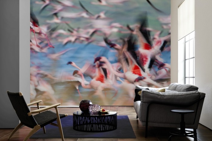 Im Wohnzimmer die Fototapete Flamingos in Kenia auf einer großen Wand tapeziert. Die Fototapete Flamingos in Kenia ist als Vlies-Fototapete im Wohnzimmer leicht zu tapezieren.
