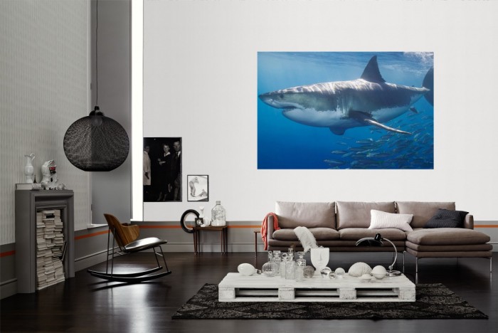Die Fototapete Hai mit Fischschwarm als Wandbild im Wohnzimmer. Die Vlies-Fototapete Hai mit Fischschwarm verschönert als Wandbild Deine Wand.