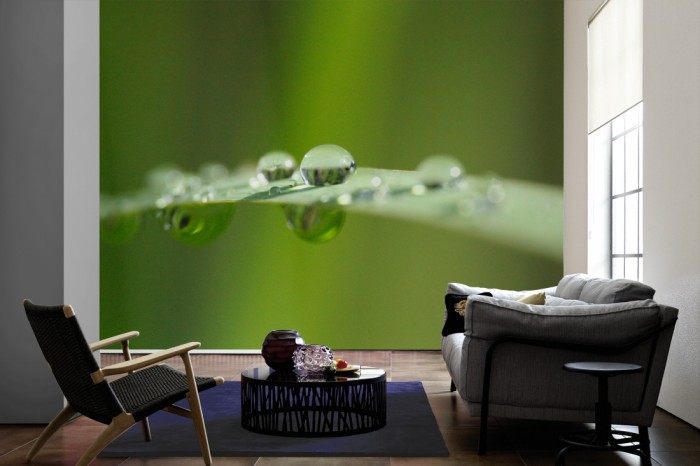 Im Wohnzimmer die Fototapete Grashalm mit Wassertropfen auf einer großen Wand tapeziert. Die Fototapete Grashalm mit Wassertropfen ist als Vlies-Fototapete im Wohnzimmer leicht zu tapezieren.