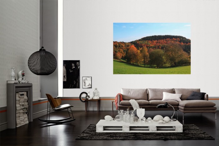 Die Fototapete Herbstwald im Bergischen Land als Wandbild im Wohnzimmer. Die Vlies-Fototapete Herbstwald im Bergischen Land verschönert als Wandbild Deine Wand.