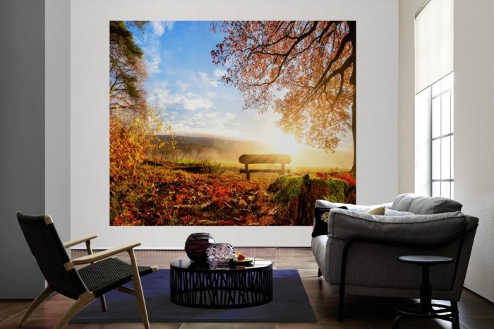 Die Fototapete Wald am Herbstmorgen als große Bildtapete im Wohnzimmer. Als Bildtapete ist die Fototapete Wald am Herbstmorgen ein besonderes Highlight auf Vliestapete.