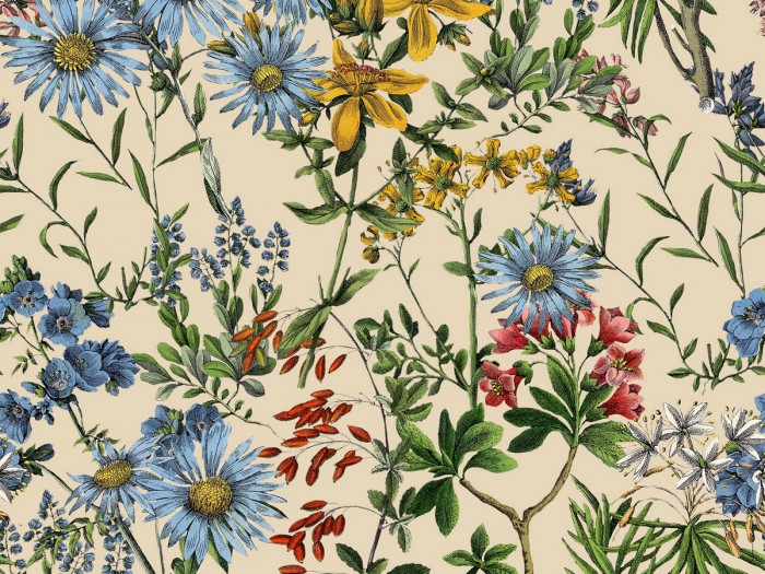 Detailansicht der Selected Walls Tapete Ostrau Flowers Wallpaper Col. 01