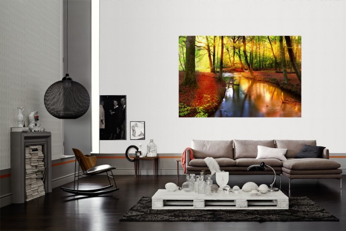 Die Fototapete Waldbach im Sonnenlicht als Wandbild im Wohnzimmer. Die Vlies-Fototapete Waldbach im Sonnenlicht verschönert als Wandbild Deine Wand.