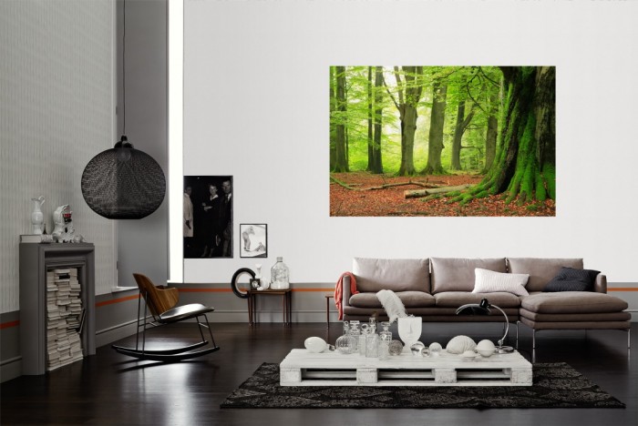 Die Fototapete Grüner Wand mit Laub als Wandbild im Wohnzimmer. Die Vlies-Fototapete Grüner Wand mit Laub verschönert als Wandbild Deine Wand.