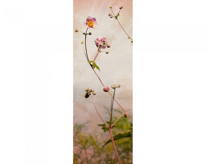 Du möchtest das Design-Fotopanel Wildrose in der Natur, Vintage online bestellen, aber du benötigst andere Abmessungen? Kontaktiere uns einfach!