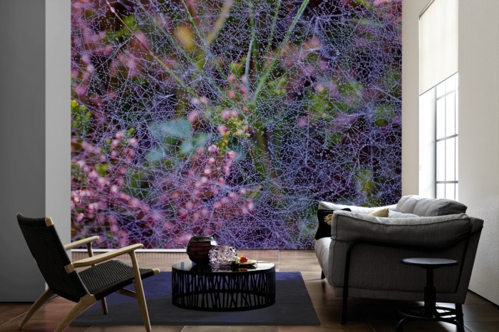 Im Wohnzimmer die Fototapete Blüten im sommerlichen Morgentau auf einer großen Wand tapeziert. Die Fototapete Blüten im sommerlichen Morgentau ist als Vlies-Fototapete im Wohnzimmer leicht zu tapezieren.