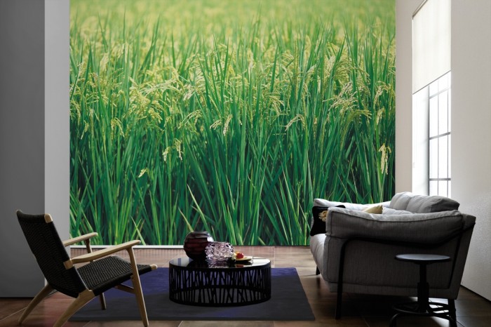 Im Wohnzimmer die Fototapete Gras, Sommerwiese auf einer großen Wand tapeziert. Die Fototapete Gras, Sommerwiese ist als Vlies-Fototapete im Wohnzimmer leicht zu tapezieren.