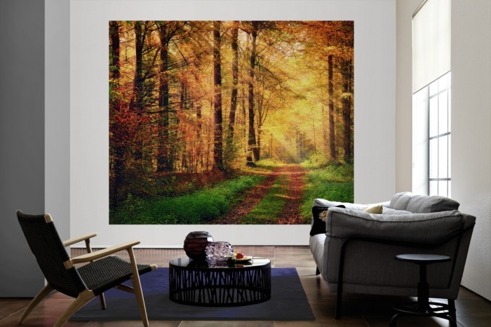 Die Fototapete Waldweg im Herbst als große Bildtapete im Wohnzimmer. Als Bildtapete ist die Fototapete Waldweg im Herbst ein besonderes Highlight auf Vliestapete.