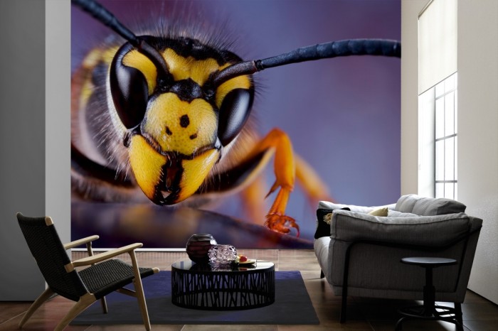 Im Wohnzimmer die Fototapete Wespe im Blick auf einer großen Wand tapeziert. Die Fototapete Wespe im Blick ist als Vlies-Fototapete im Wohnzimmer leicht zu tapezieren.